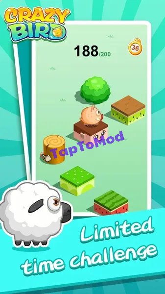 Download Crazy Bird APK Latest Version