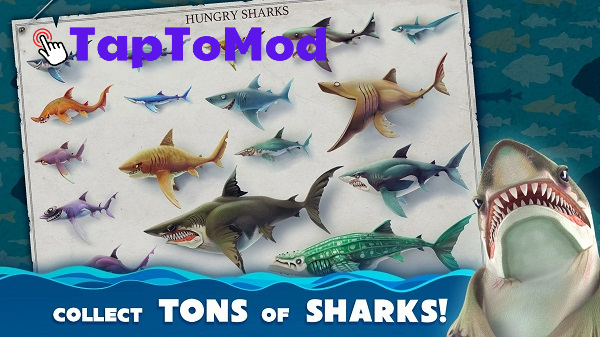 Hungry Shark Mod APK Unlimited Money