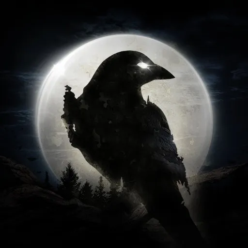 Night Crow