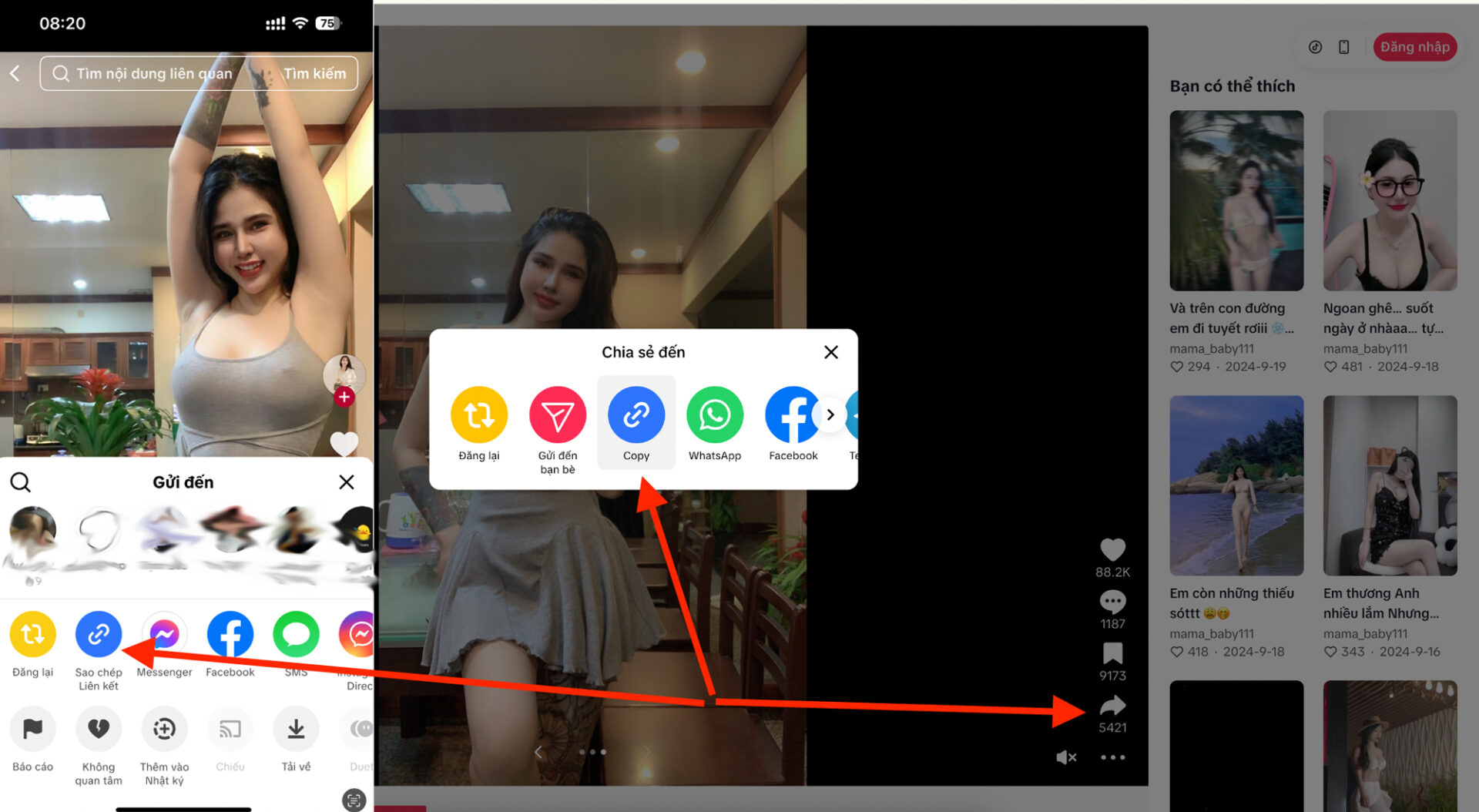 How to copy TikTok link - step by step guide