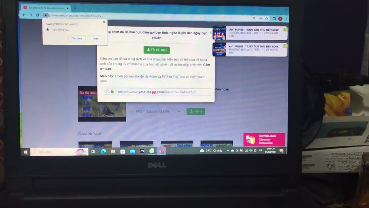 Lưu ý quan trọng từ chuyên gia để tải nhạc MP3 an toàn và hiệu quả