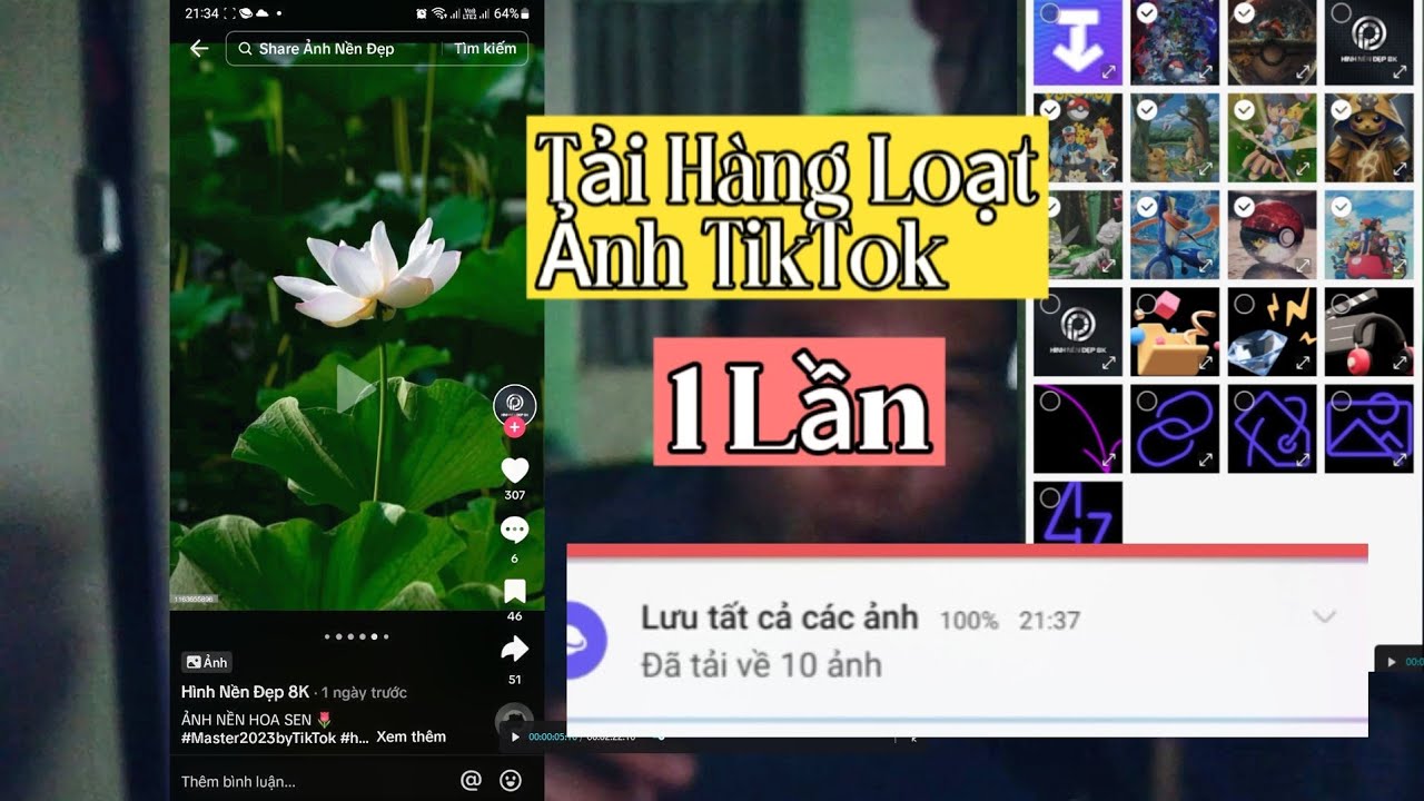 Dành Cho Content Creator Chuyên Nghiệp: Phần Mềm Tải Nhiều Video TikTok Cùng Lúc Trên Máy Tính